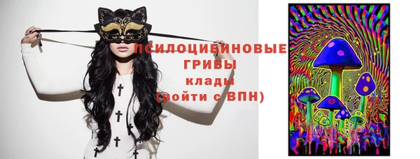 спайс Алзамай