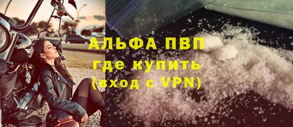спайс Алзамай