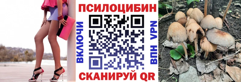 закладки  ссылка на мегу tor  Галлюциногенные грибы Magic Shrooms  Нурлат 