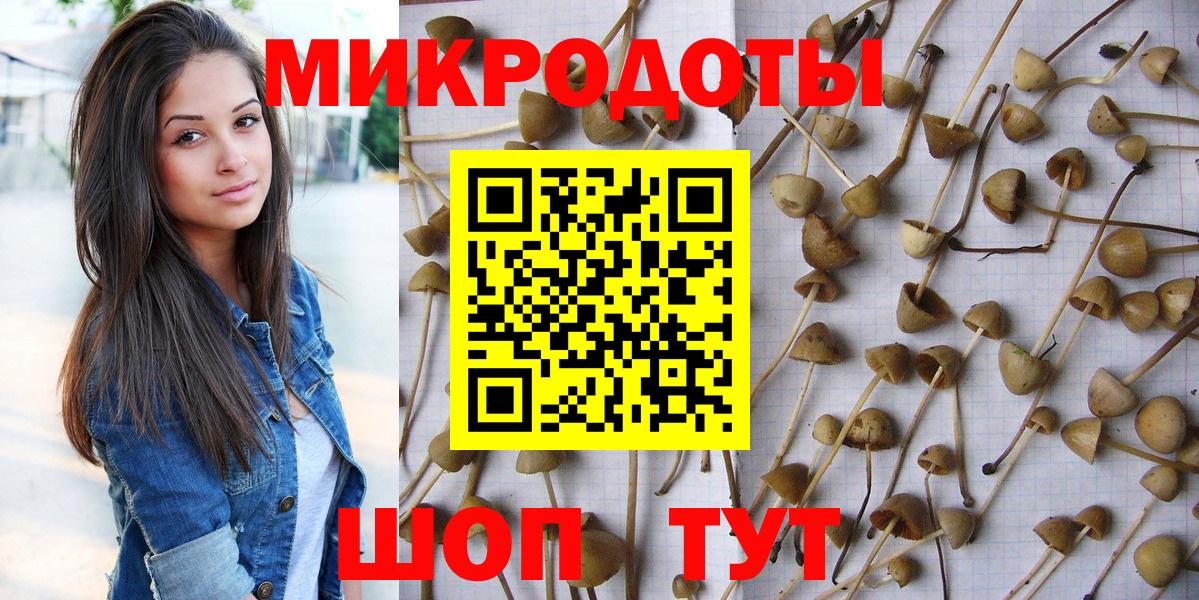 Галлюциногенные грибы Psilocybine cubensis Нурлат